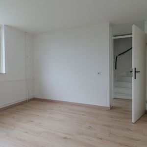 Doornbos 38 Photo 4