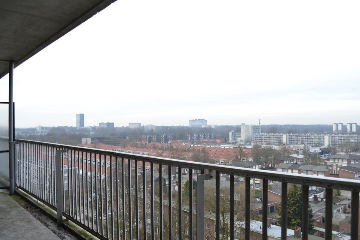 Postelse Hoeflaan 318 Photo Blur 4