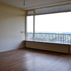 Postelse Hoeflaan 318 Photo 2