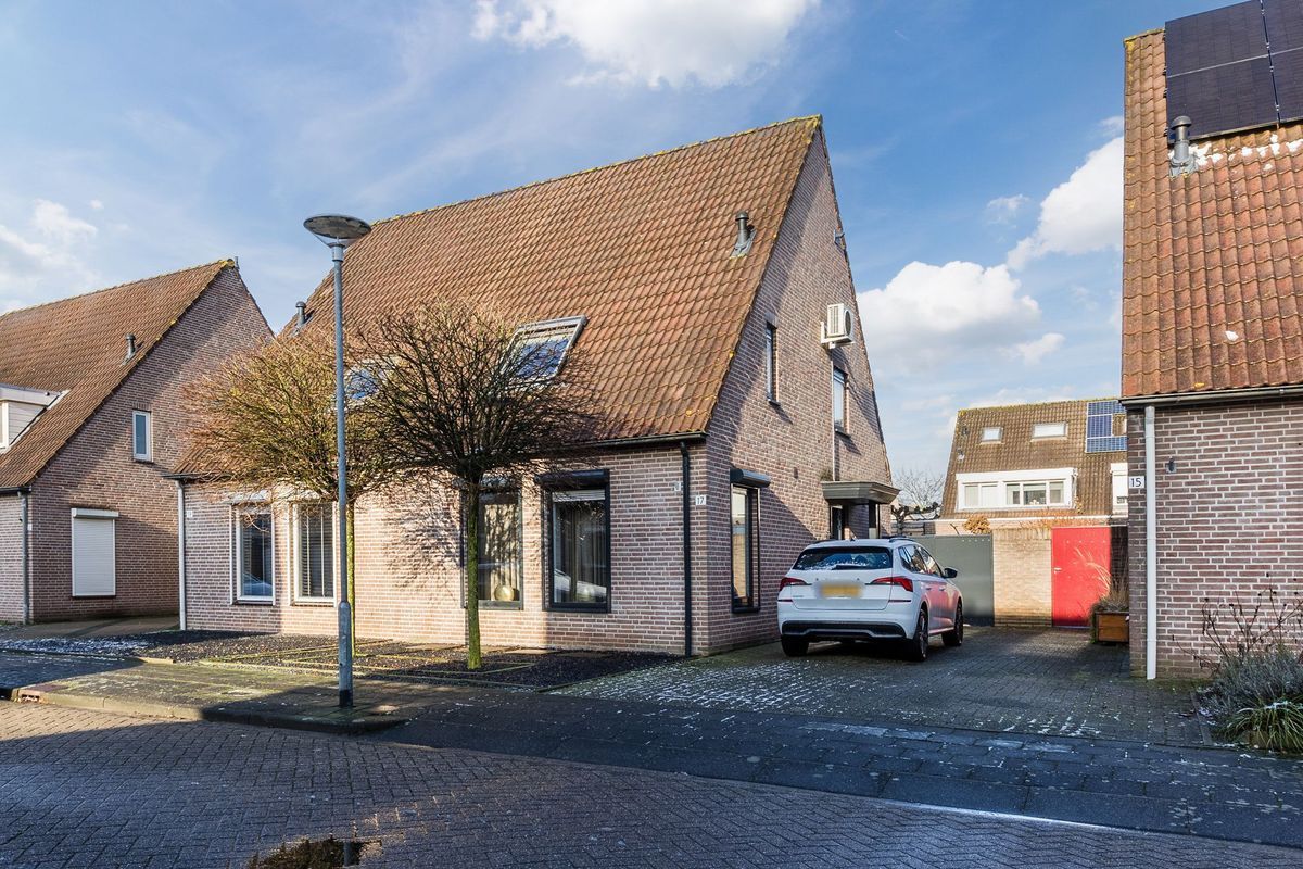 Leeuwerik 17 Photo Blur 35