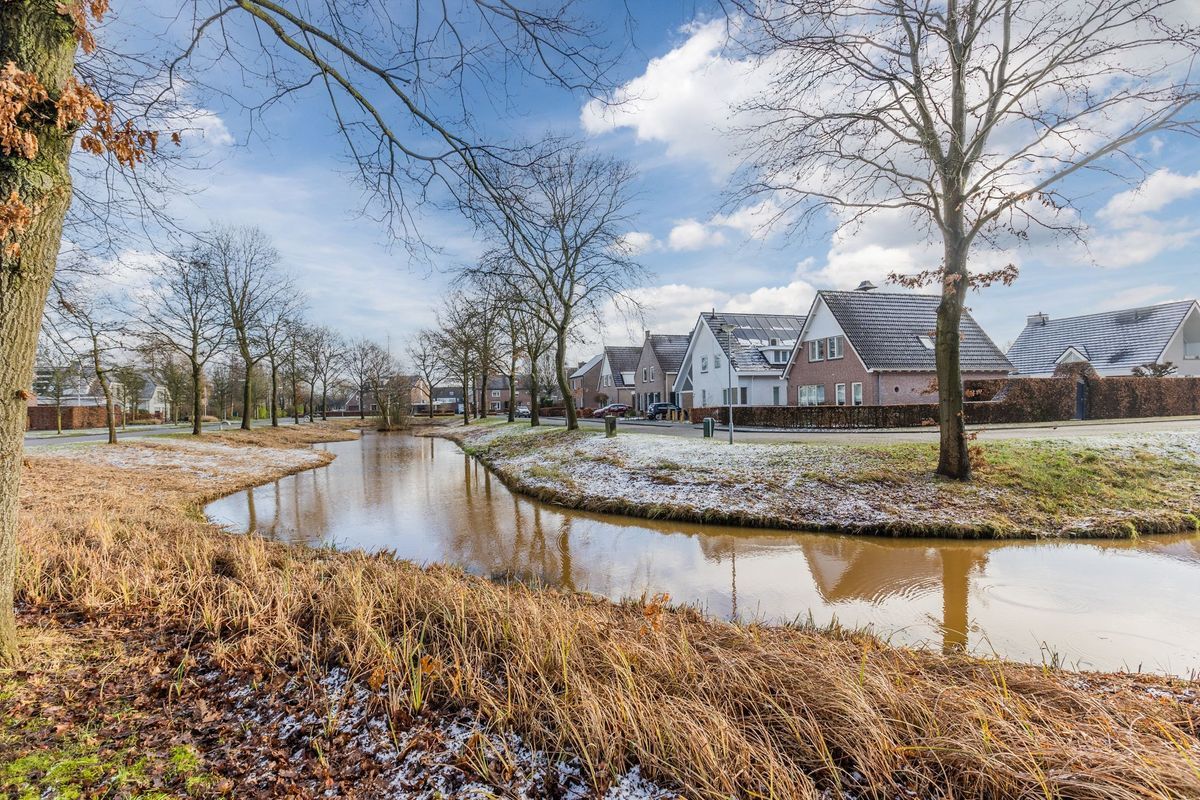 Leeuwerik 17 Photo Blur 38