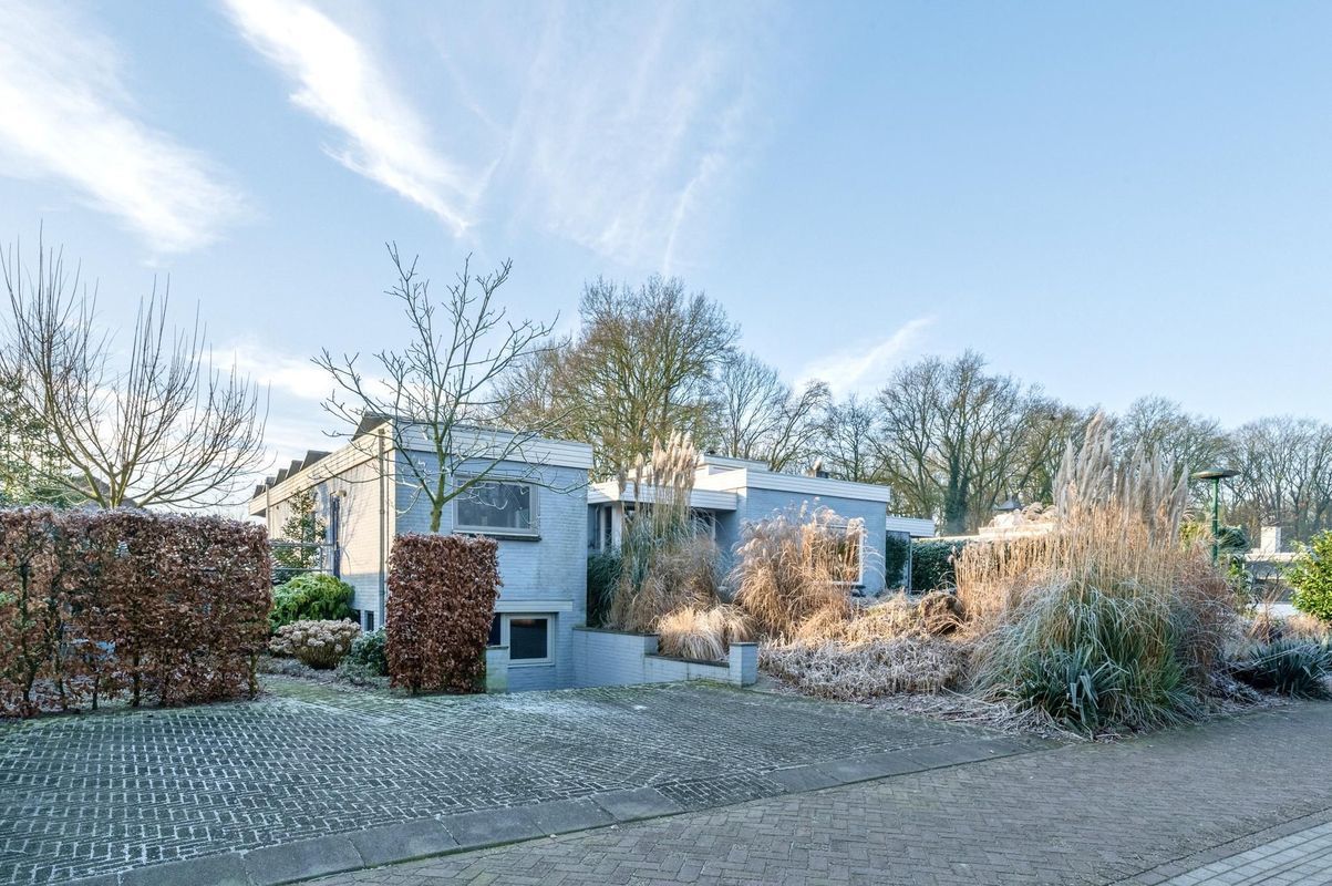 Hogekant 16 Photo Blur 0