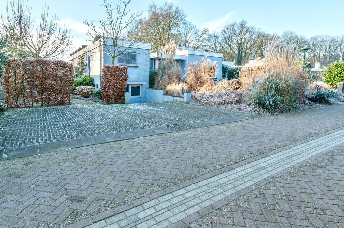 Hogekant 16 Photo Blur 46