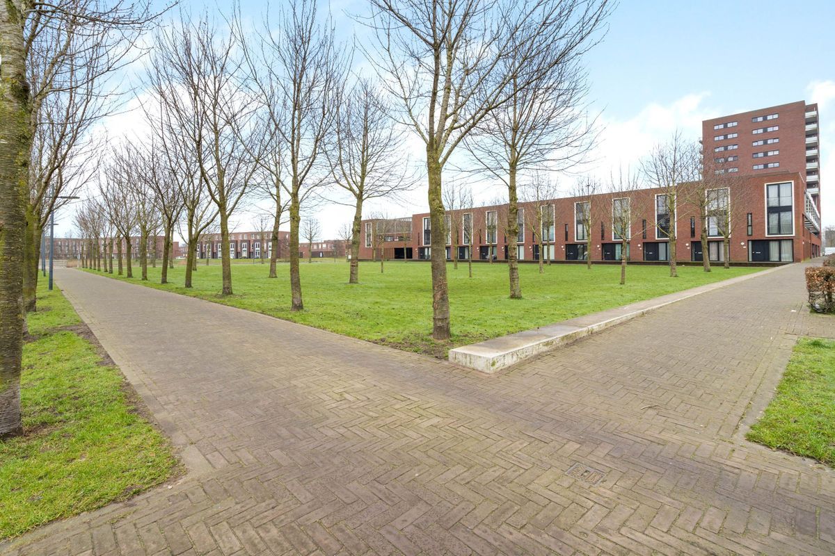 Maasdijk 192 Photo Blur 32