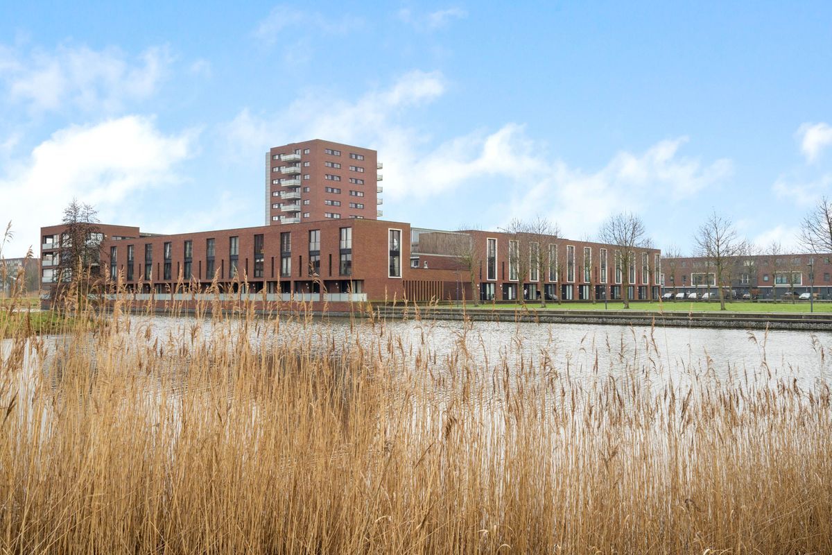 Maasdijk 192 Photo Blur 34