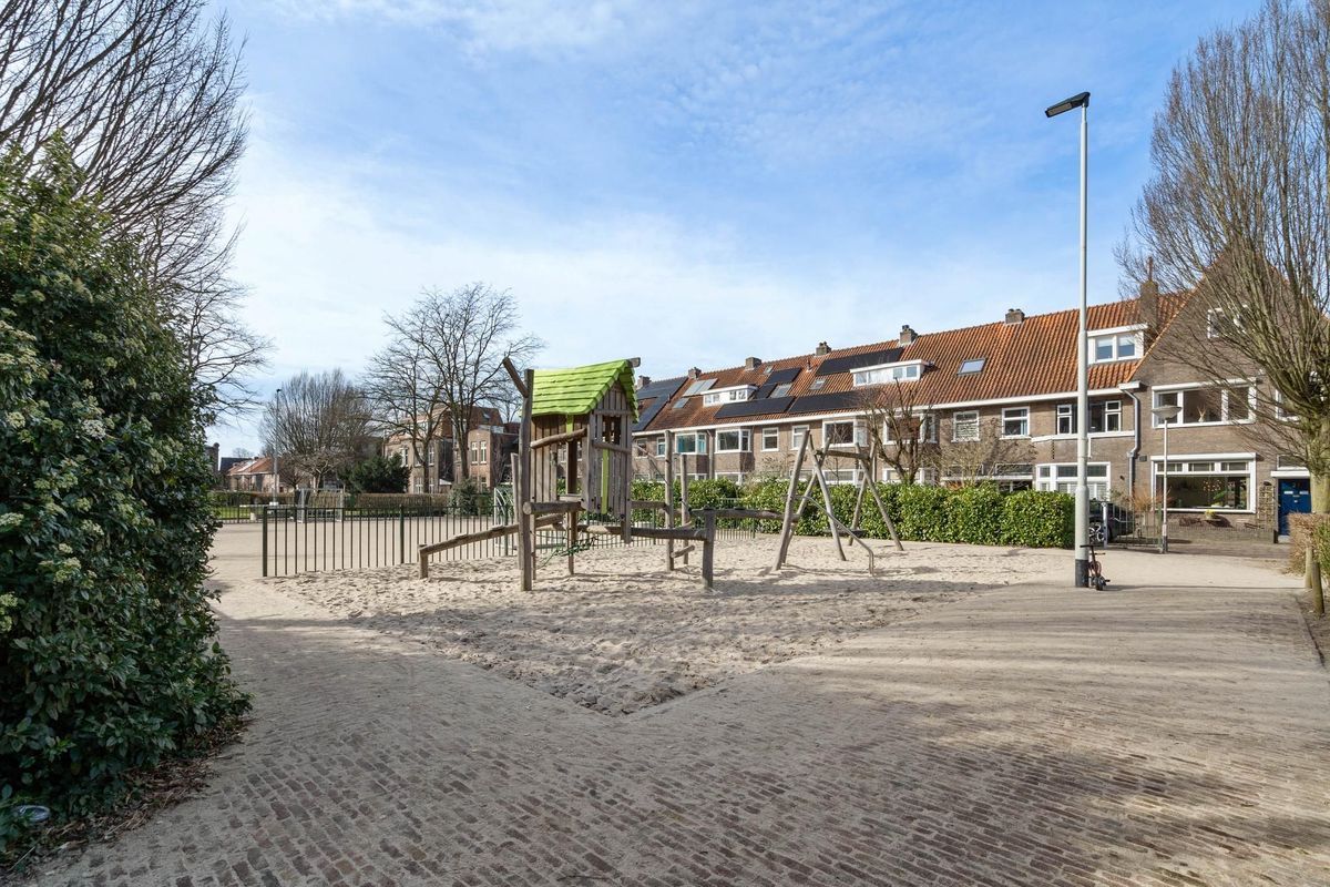 Hyacintplein 12 Photo Blur 40