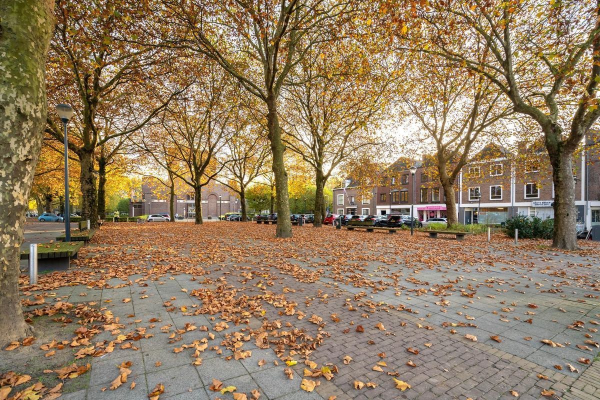 Mgr. Nolensplein 11 - A1 Photo Blur 21