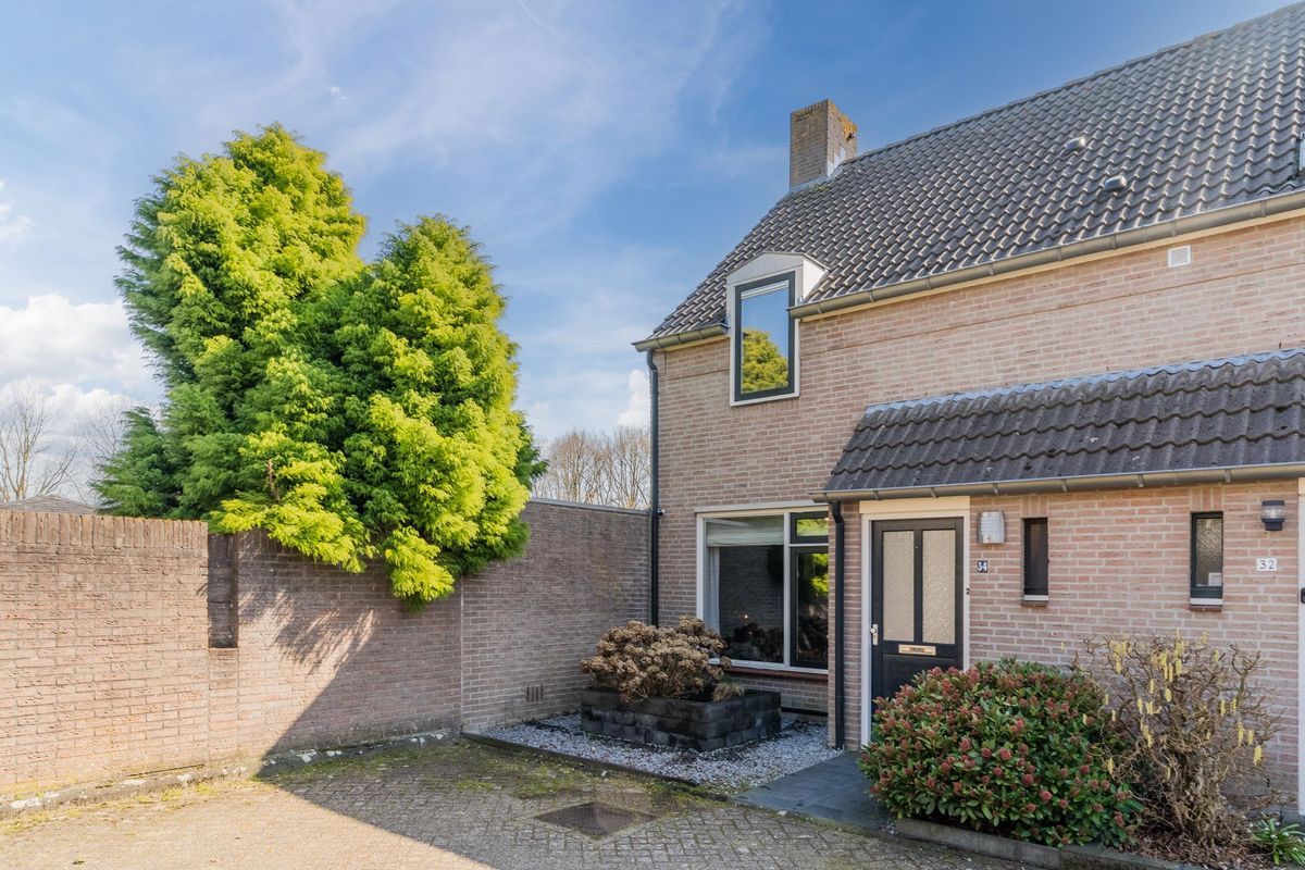 de Wever 34 Photo Blur 4