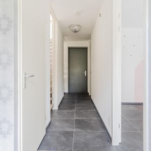 Achterste Ven 4 Photo 2