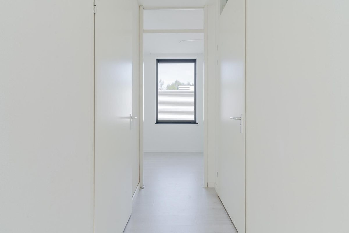 Achterste Ven 4 Photo Blur 19