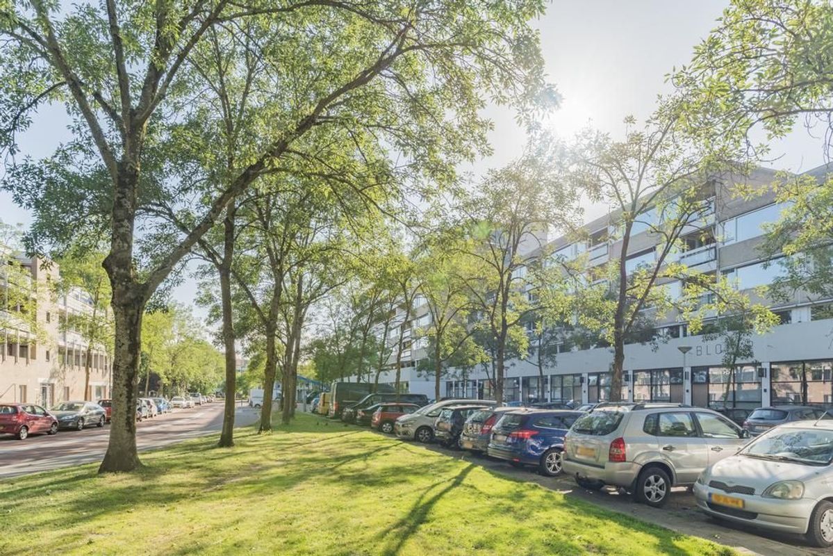 Adriaan van Bergenstraat 348 Photo Blur 27