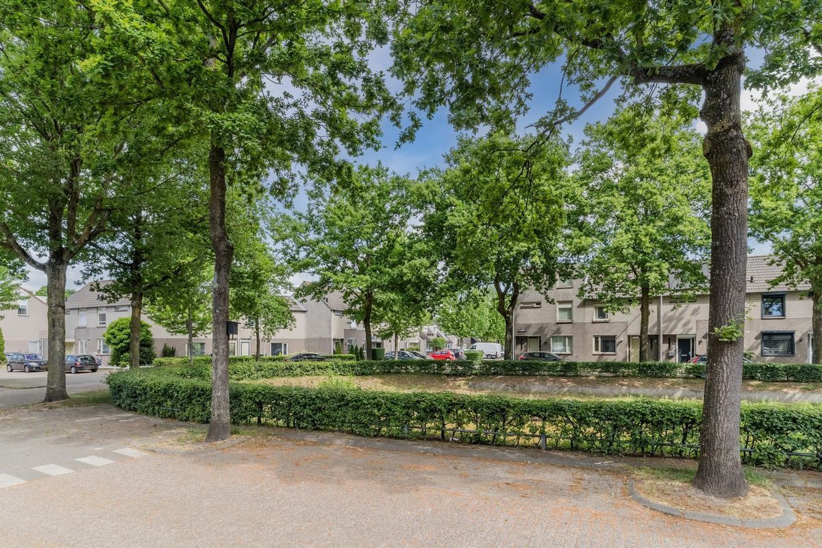 Domburgsingel 36 Photo Blur 38
