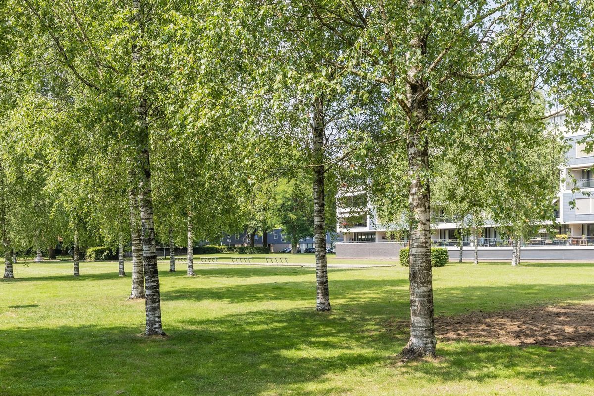 Gotenpark 19 Photo Blur 19