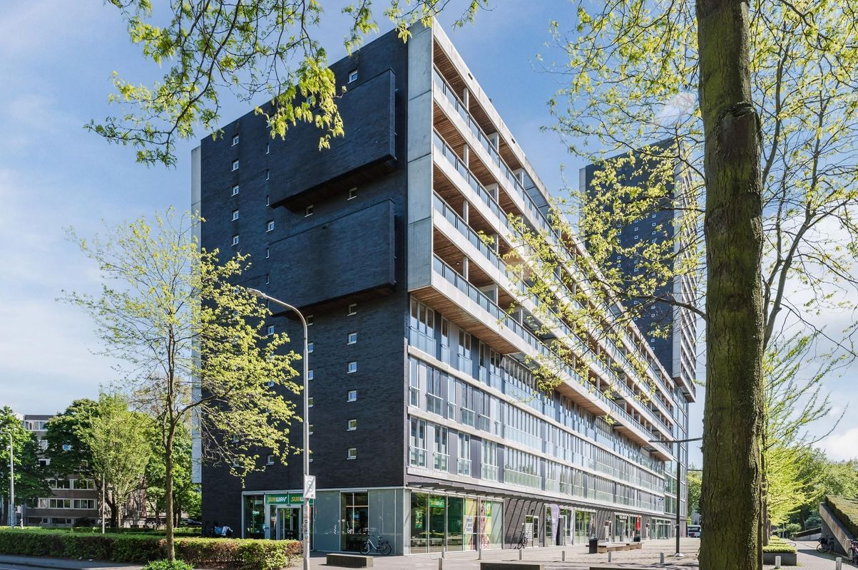 Professor de Moorplein 453 Photo Blur 0