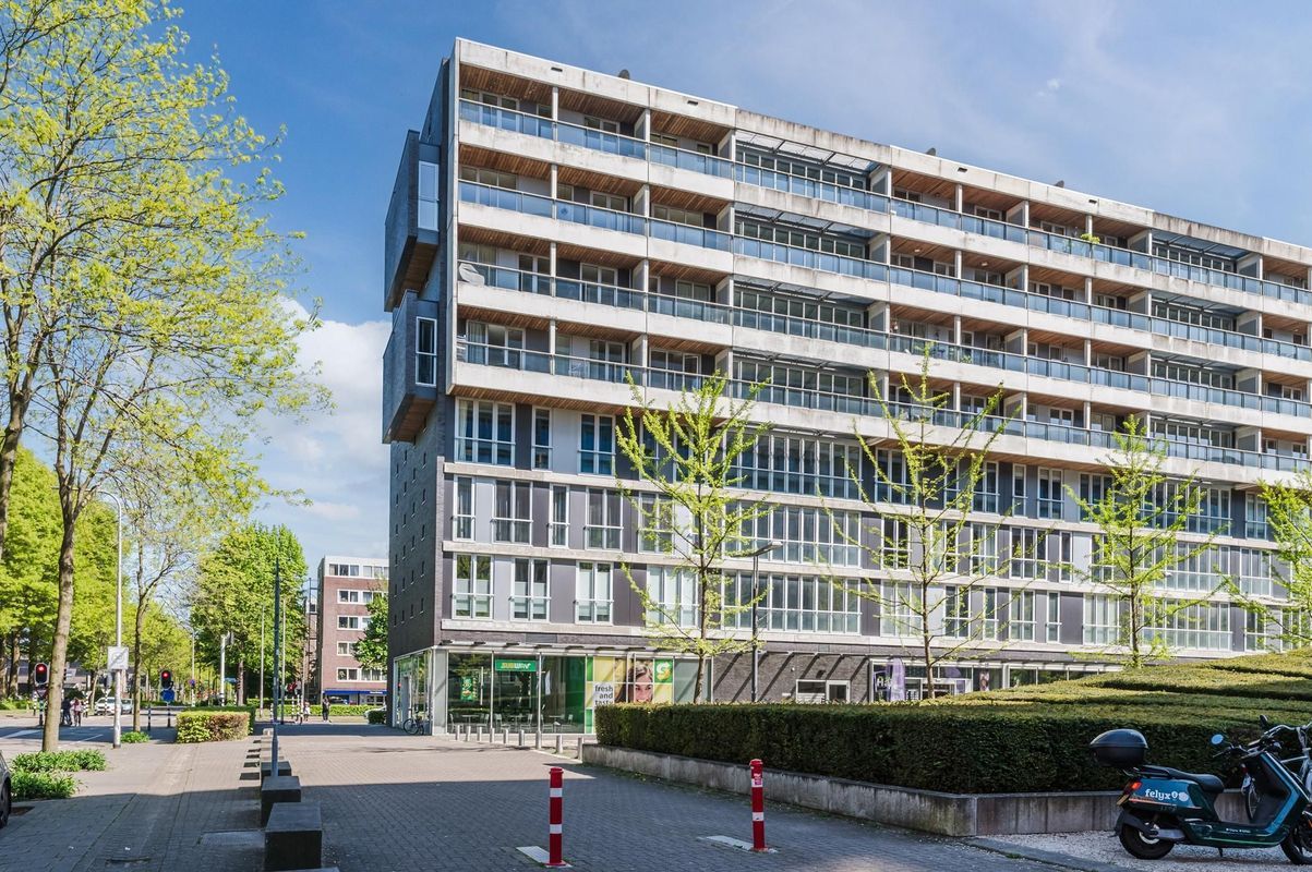 Professor de Moorplein 453 Photo Blur 24