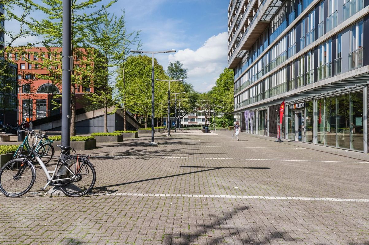 Professor de Moorplein 453 Photo Blur 26