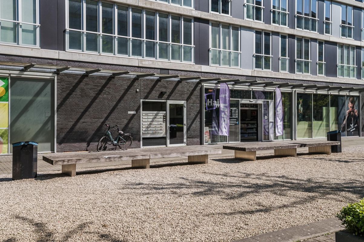 Professor de Moorplein 453 Photo Blur 27