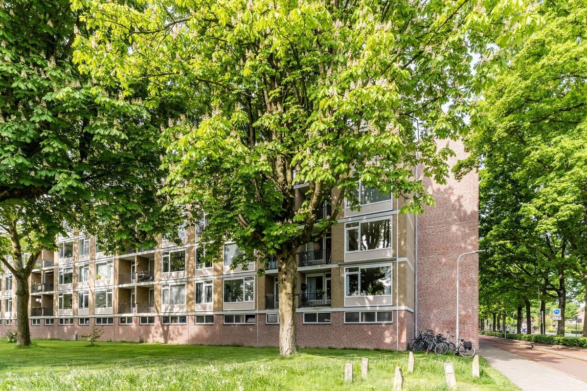 Huijsmansstraat 18 Photo Blur 0