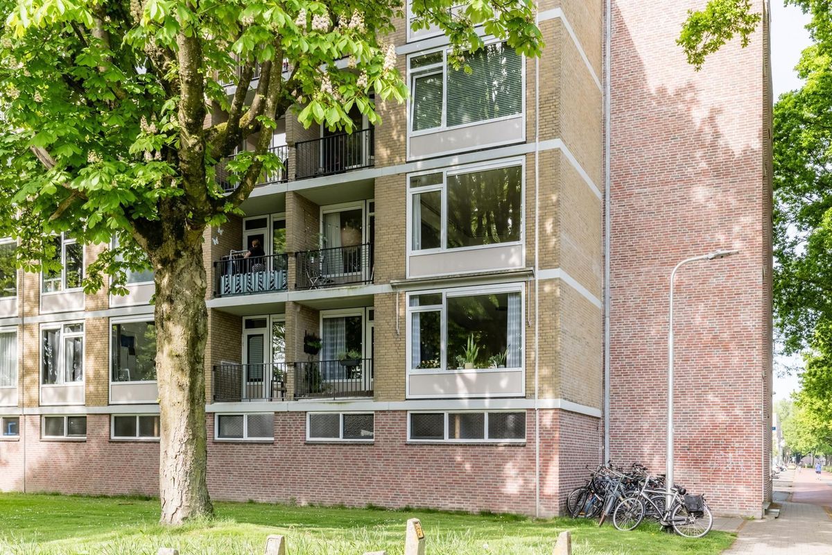 Huijsmansstraat 18 Photo Blur 17