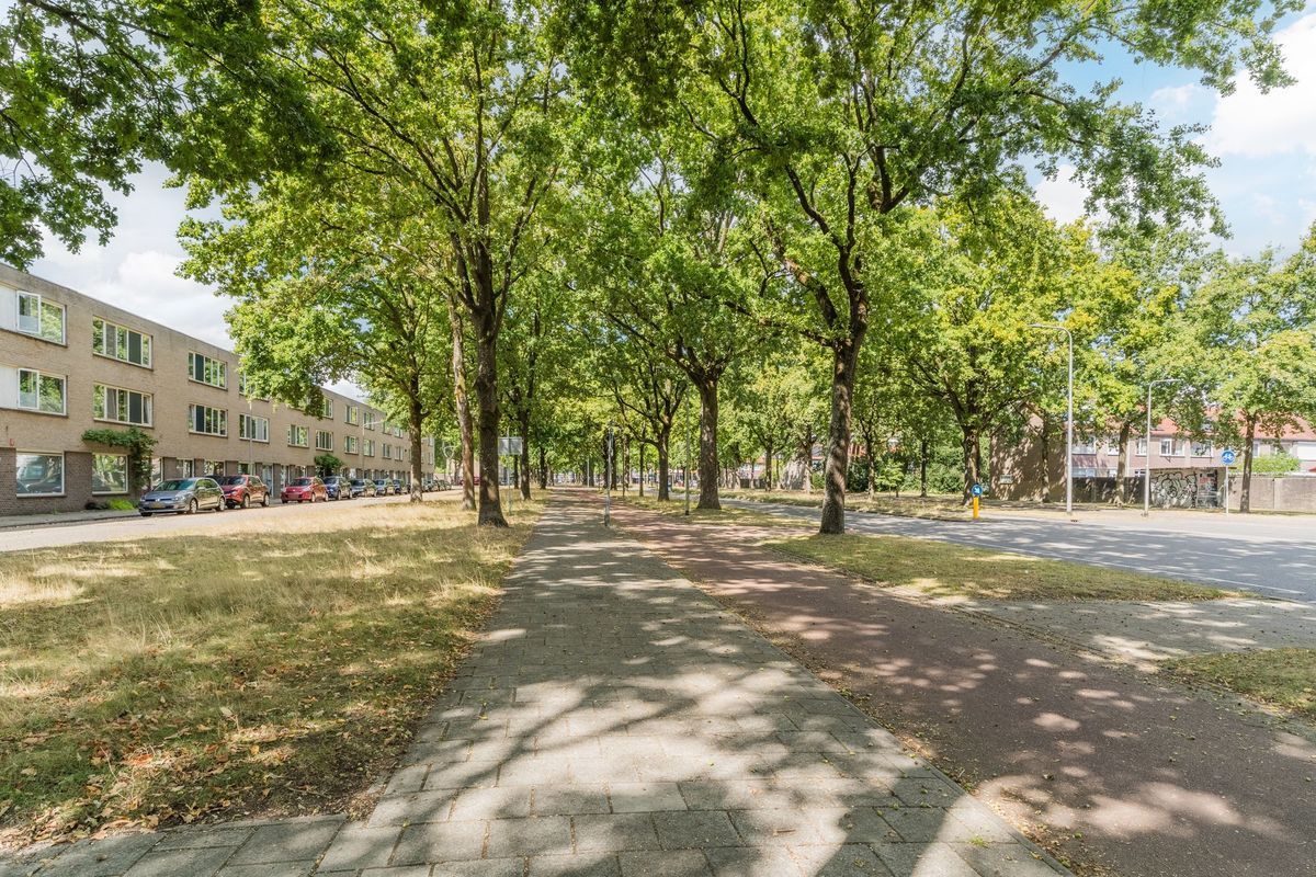 Karmijnstraat 52 Photo Blur 33