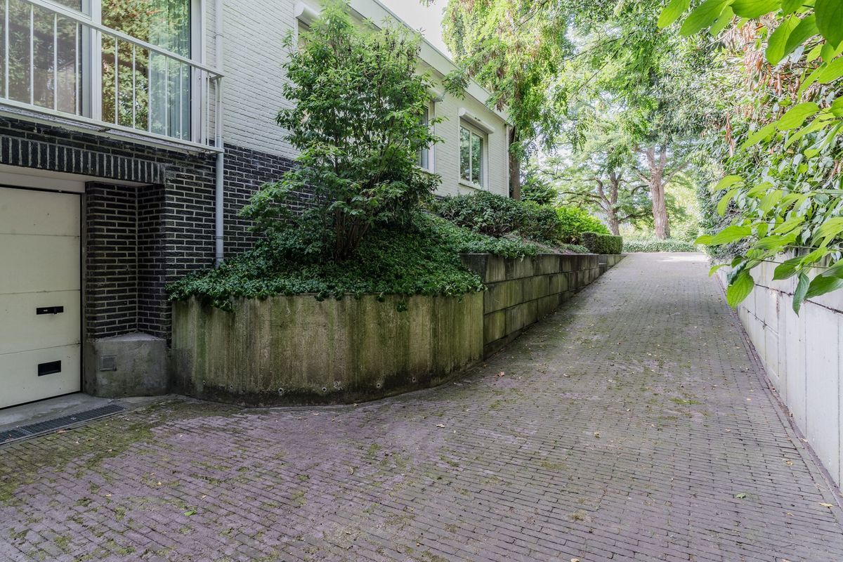 Herman de Manhof 1 Photo Blur 42