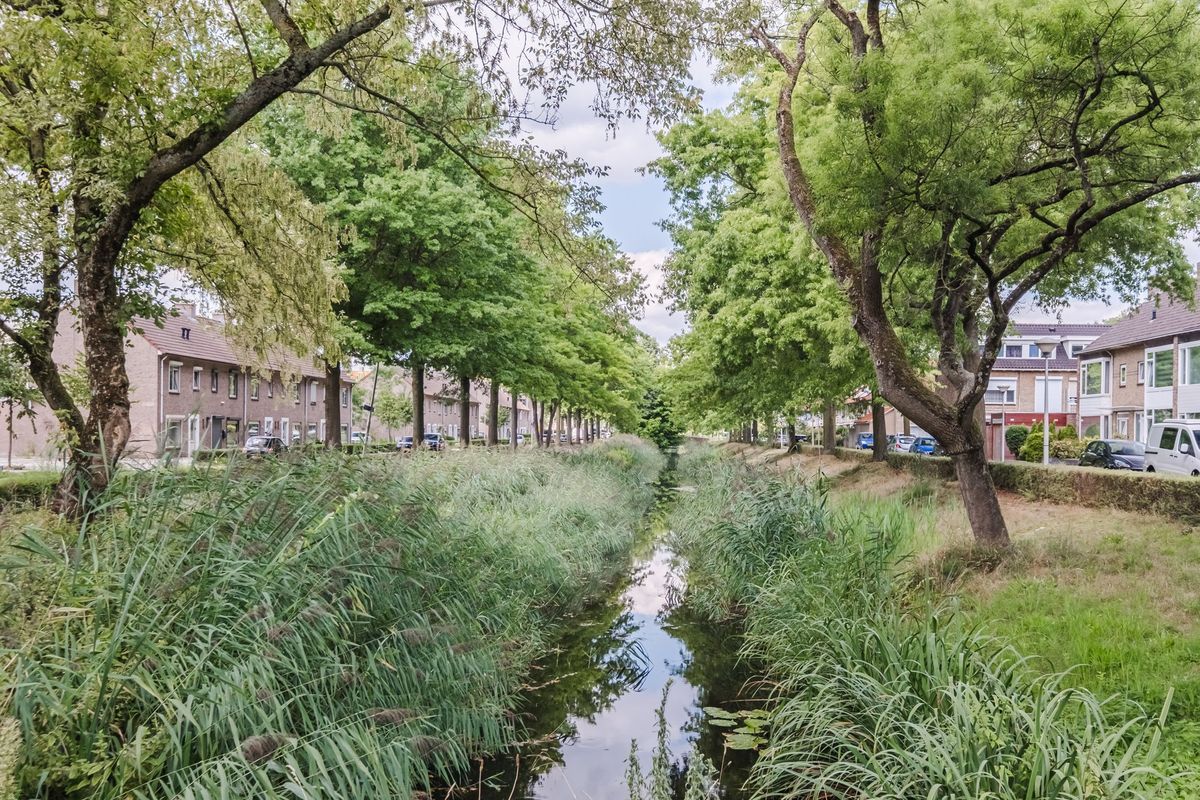 Jan van Eyckgracht 191 Photo Blur 38