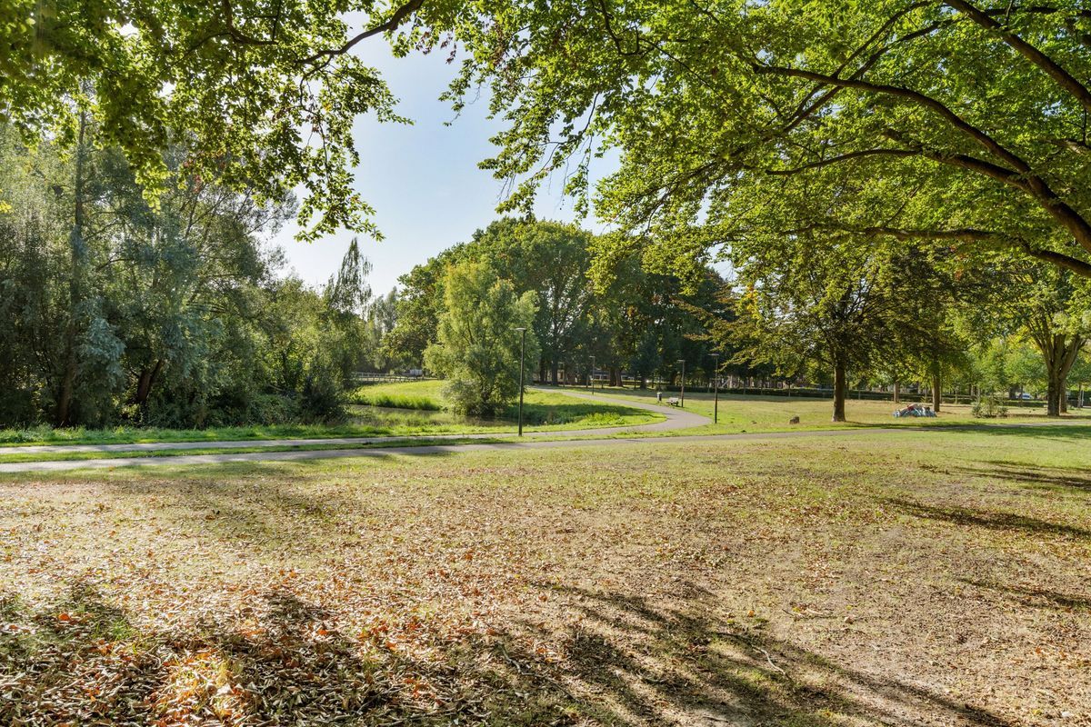 Graaf Hendrik III laan 71 - B Photo Blur 31