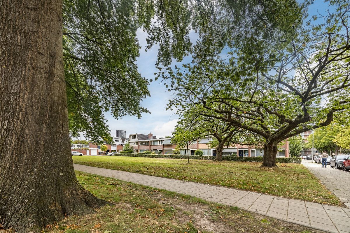 Slot Loevesteinstraat 5 Photo Blur 35