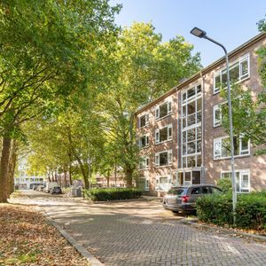 Planciusplein 18 Photo 4