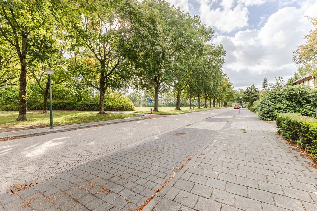 Rozelaar 16 Photo Blur 49