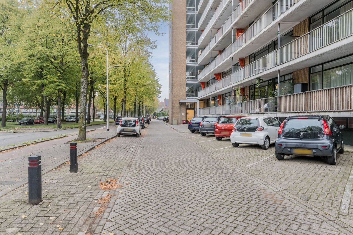 Postelse Hoeflaan 314 Photo Blur 2