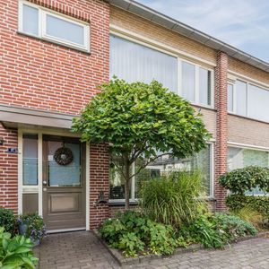 Steurstraat 21 Photo 4