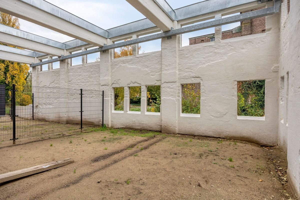 Heuvel 1 Photo Blur 32