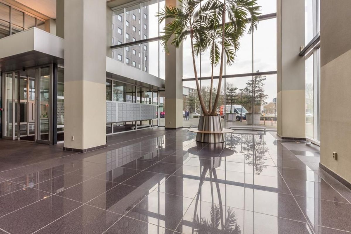 Westpoint 77 Photo Blur 32