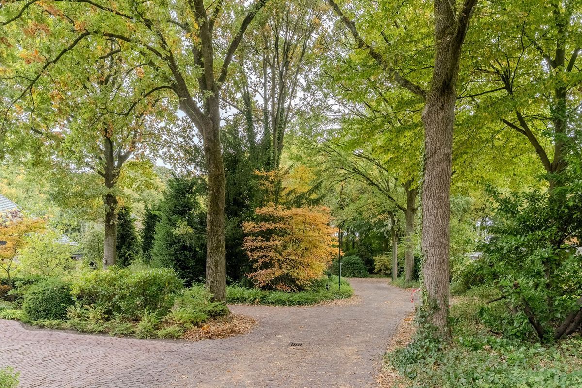 Hollandse Tuin 7 Photo Blur 48