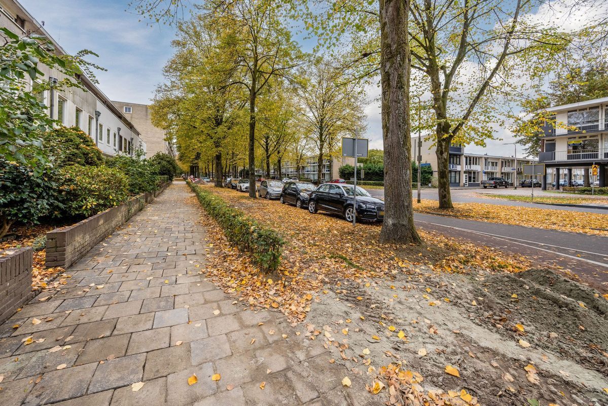 Postelse Hoeflaan 4 Photo Blur 47