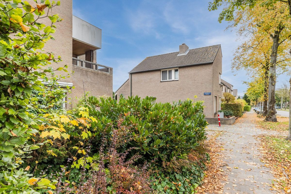 Looiersveld 24 Photo Blur 24