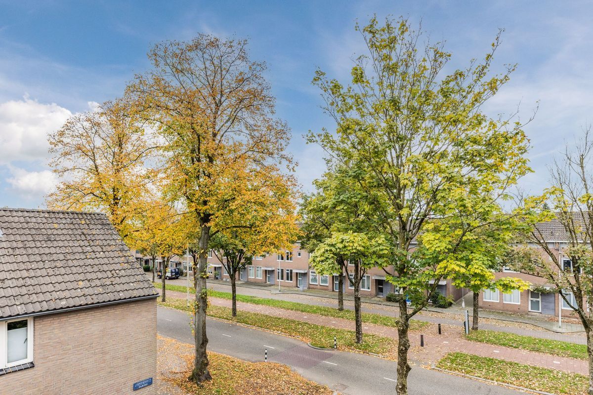 Looiersveld 24 Photo Blur 22