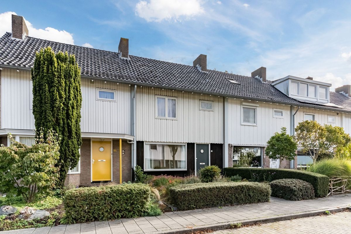 Wisse 14 Photo Blur 35