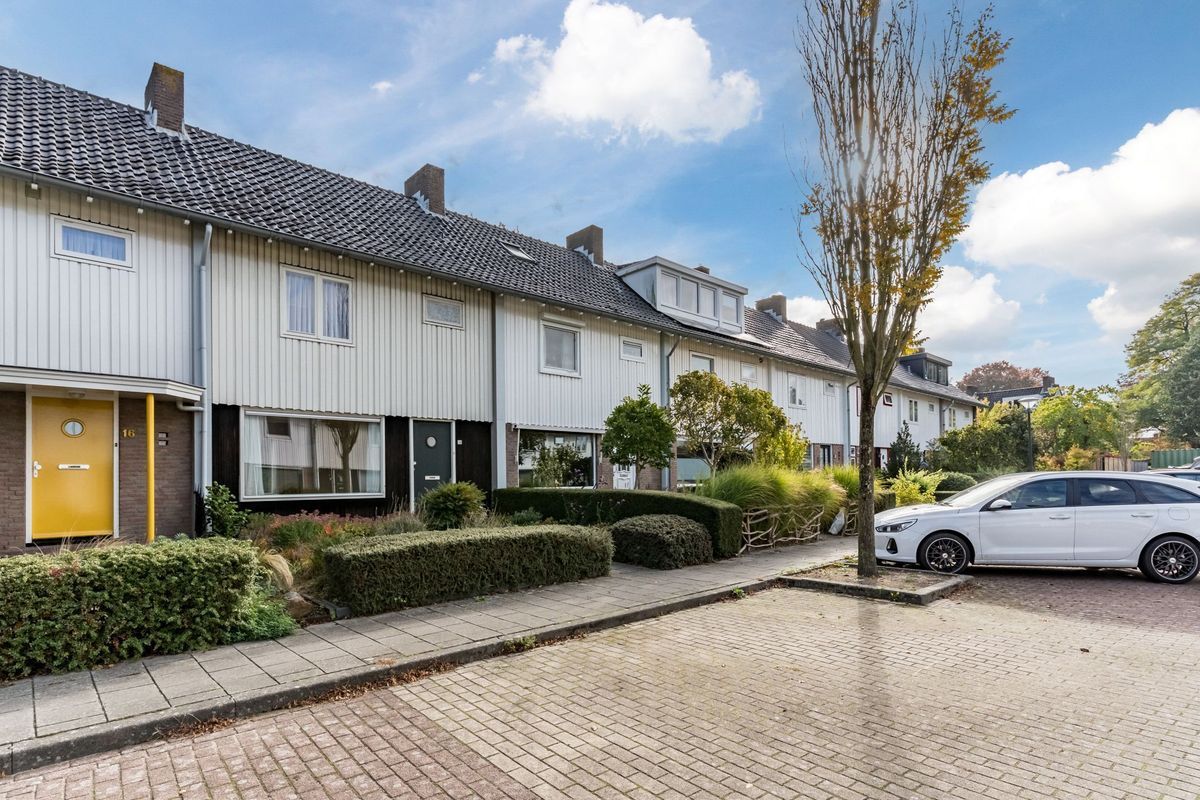 Wisse 14 Photo Blur 36