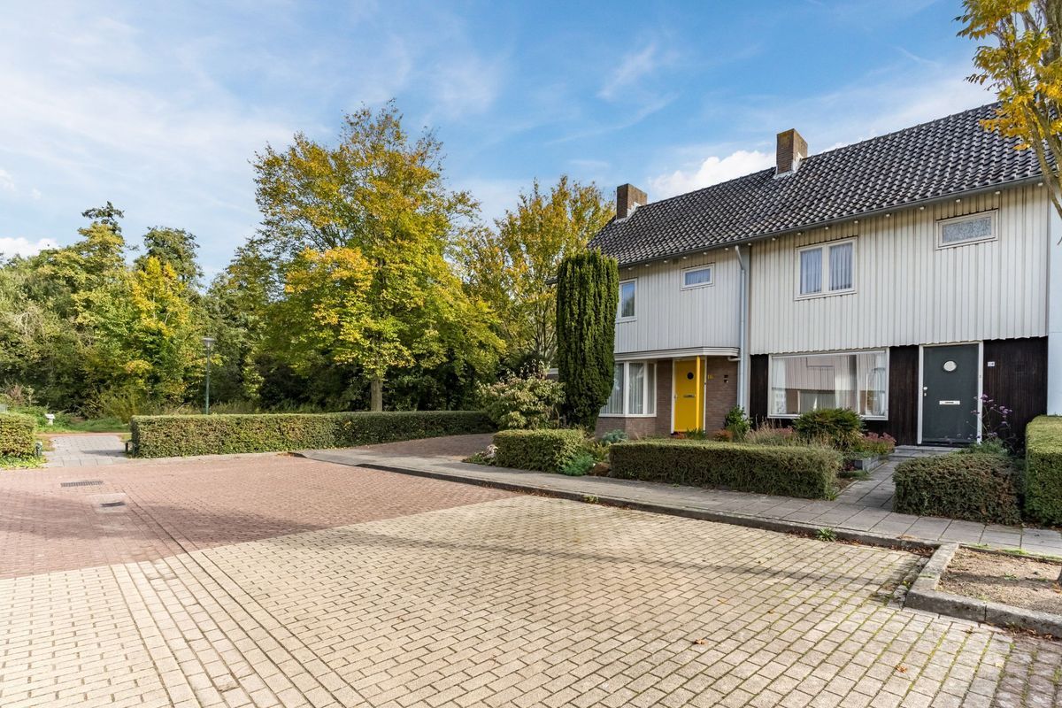 Wisse 14 Photo Blur 34