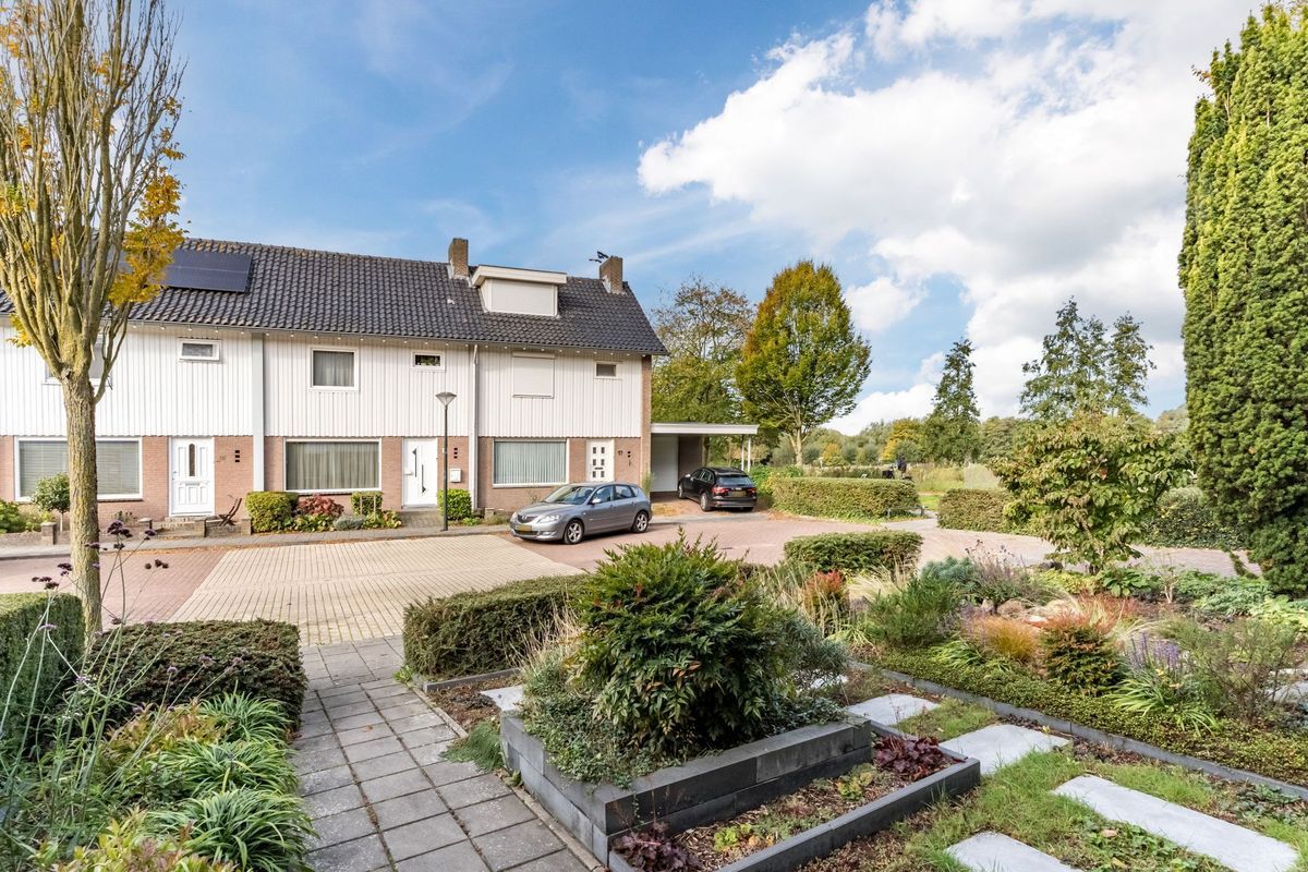 Wisse 14 Photo Blur 4