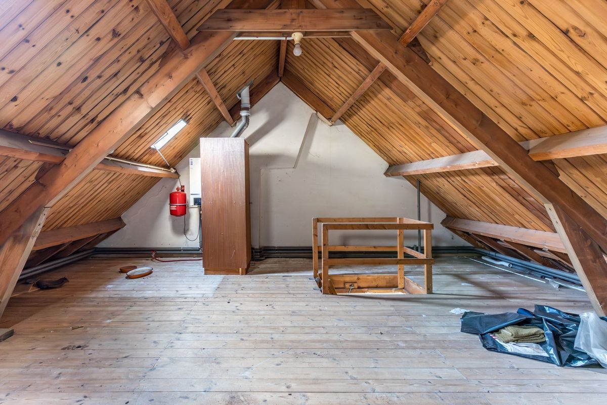 Wisse 14 Photo Blur 27