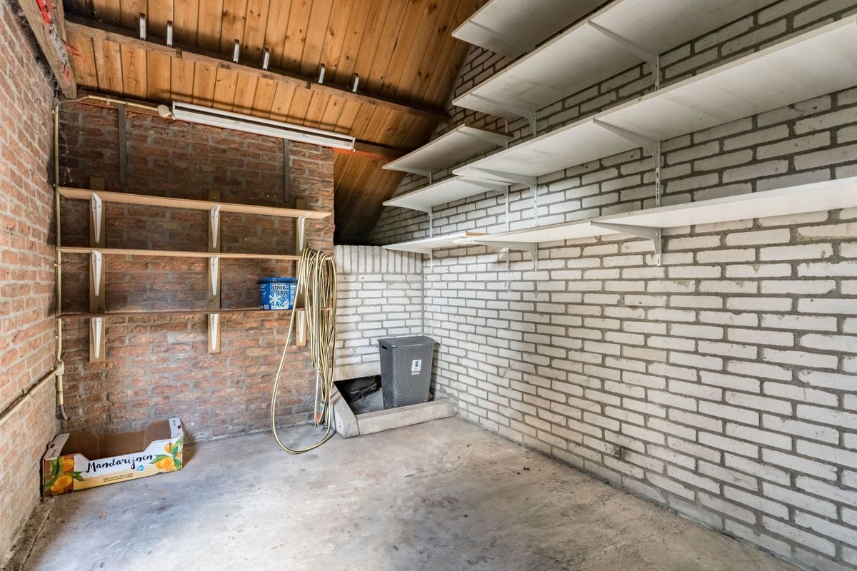 Wisse 14 Photo Blur 28