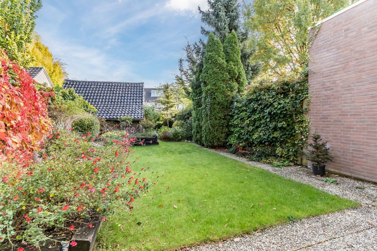 Wisse 14 Photo Blur 29