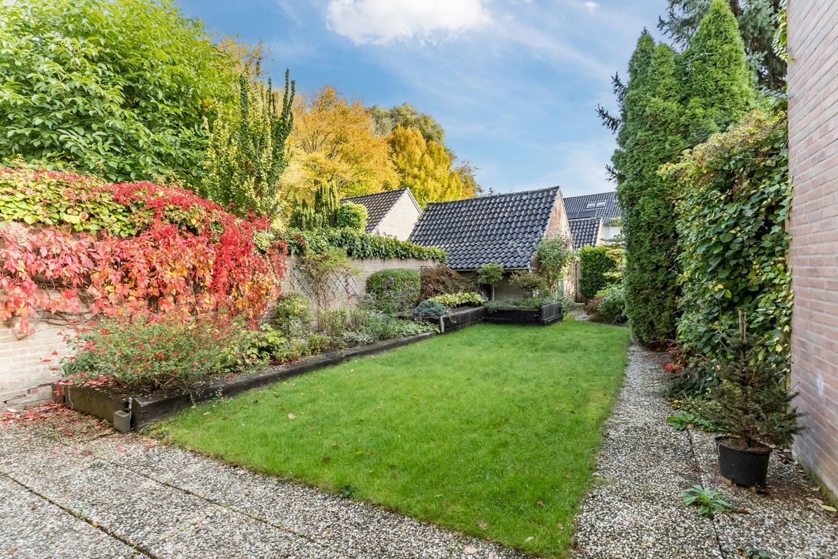 Wisse 14 Photo Blur 2