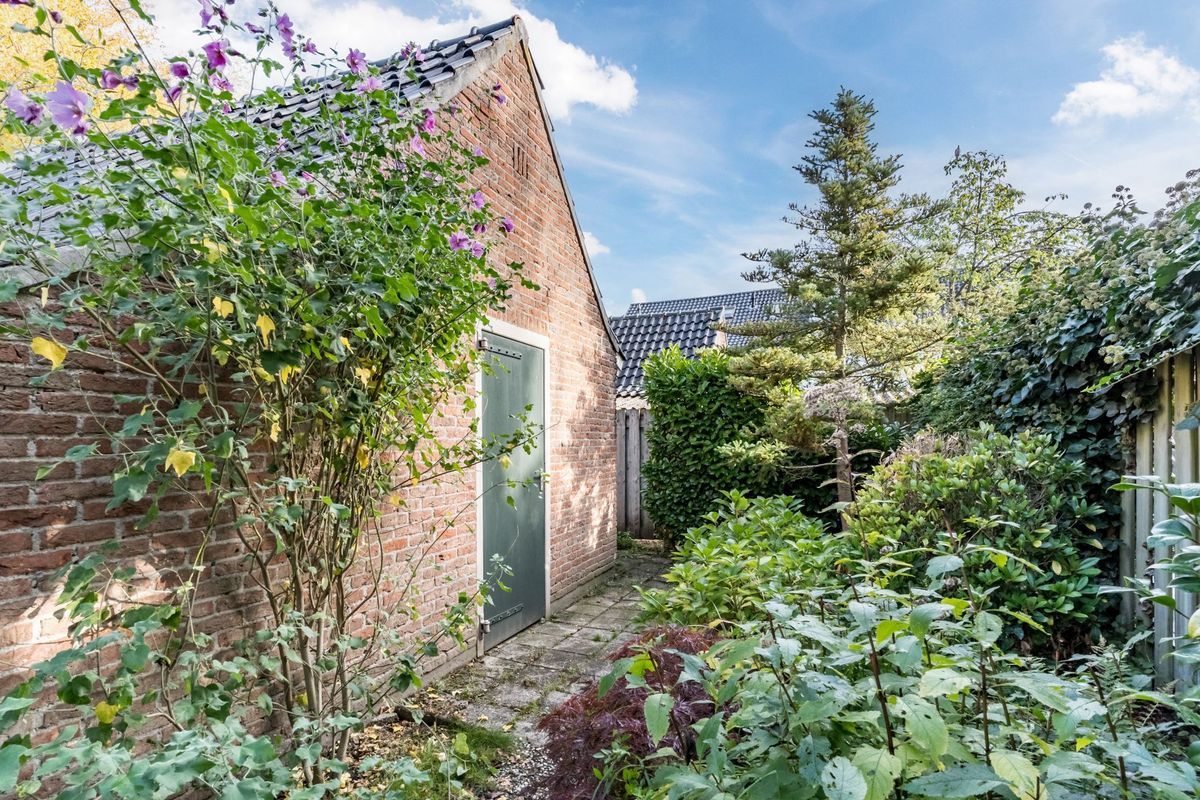 Wisse 14 Photo Blur 30