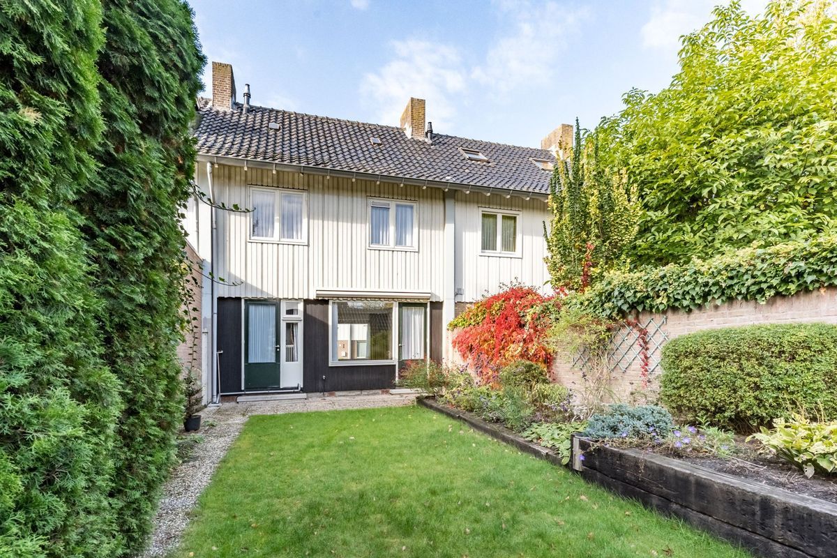 Wisse 14 Photo Blur 31