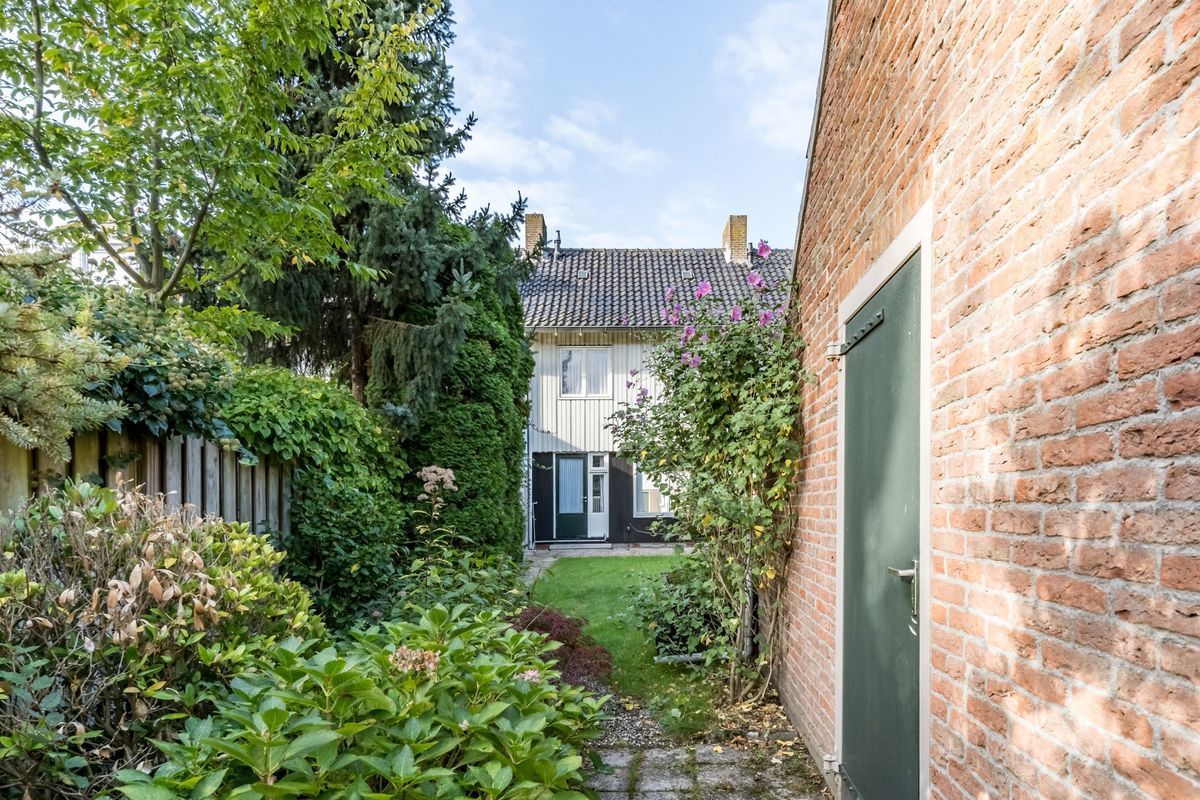 Wisse 14 Photo Blur 33