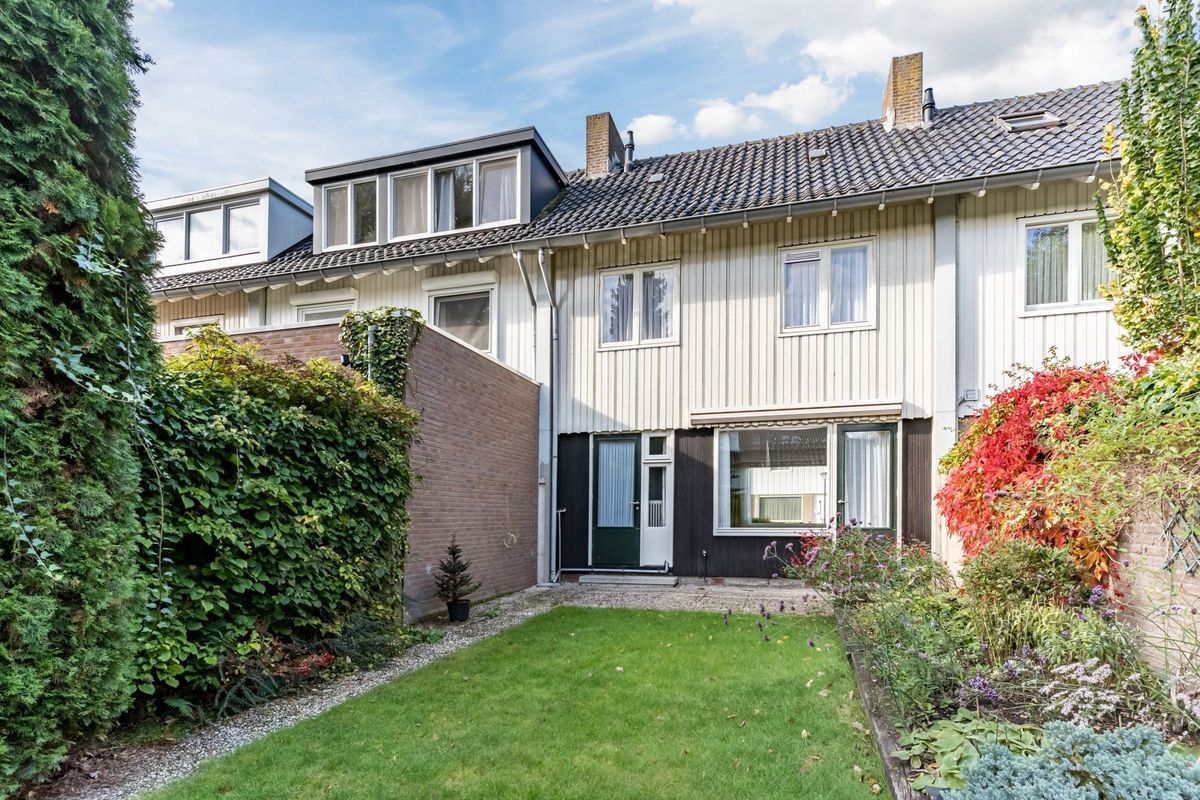 Wisse 14 Photo Blur 32